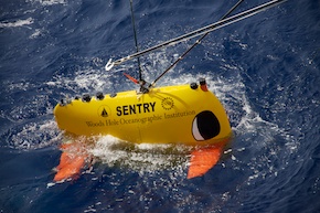 The AUV-Sentry team taped large cartoon eyes to the vehicle, making it look pretty darn cute.